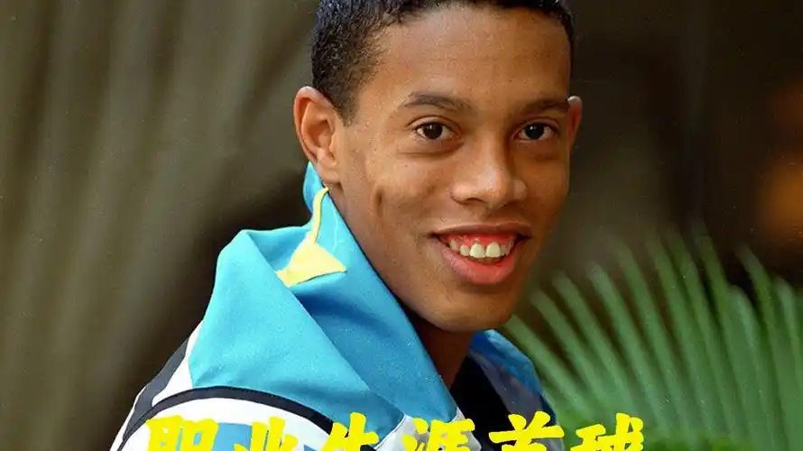 伊布的影响