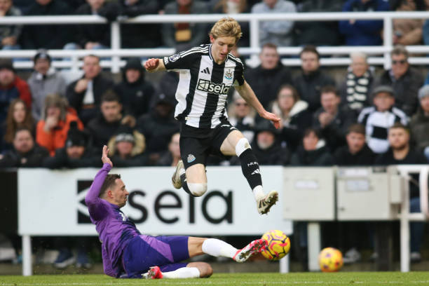 赛吸引了更 赛吸引了更